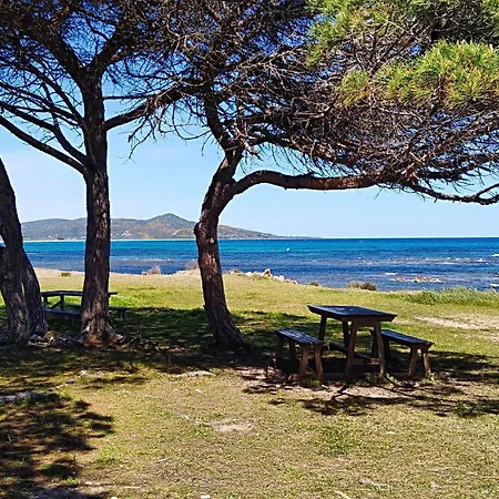 Posada, Comfortable In A Great Location - Veranda *